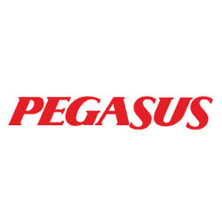 pegasus airlines complaints